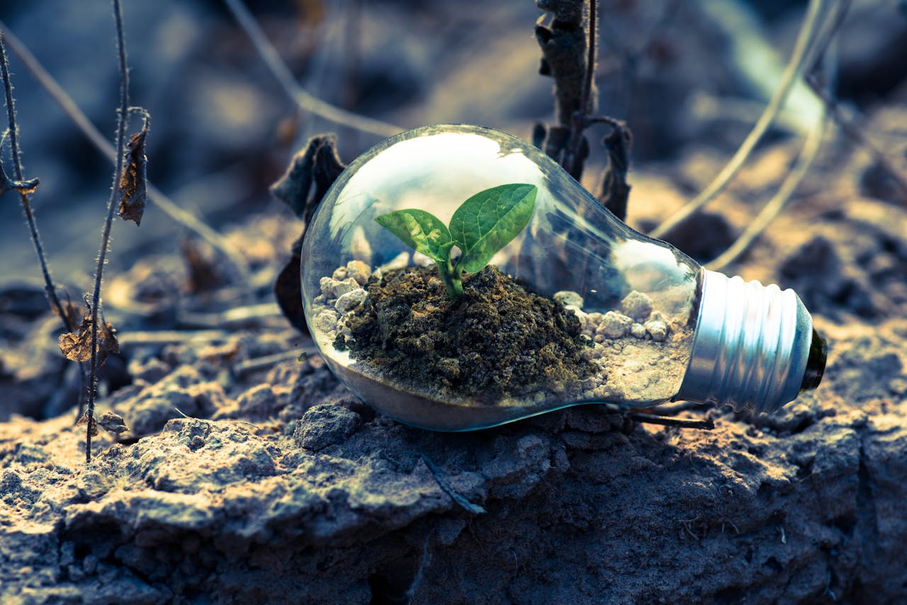 The Art of Drawing Readers In: Your attractive post title goes here A small plant sprouts in soil inside a light bulb, symbolizing eco-friendly and sustainable growth.