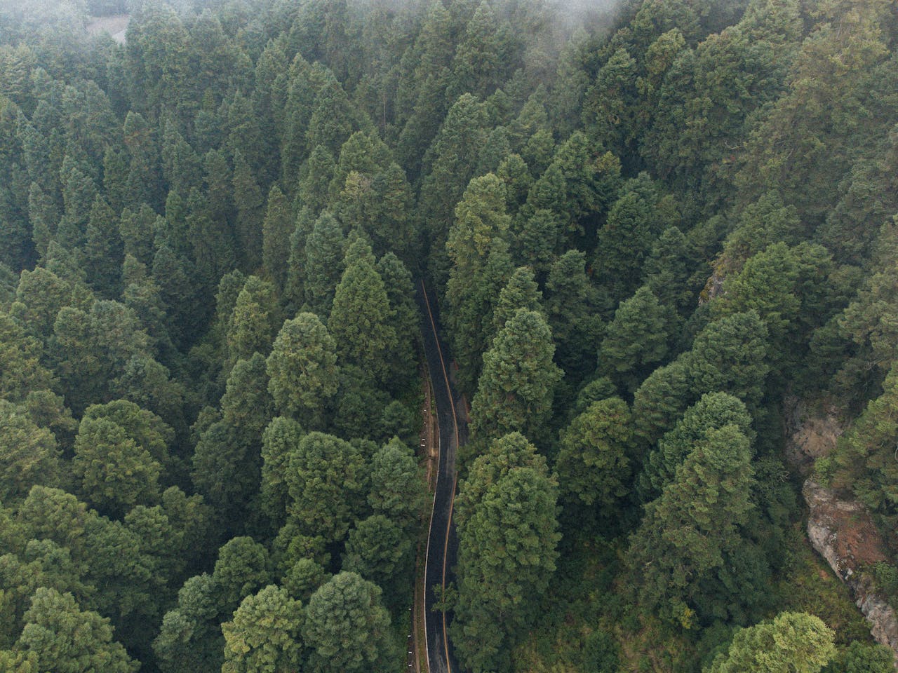 Crafting Captivating Headlines: Your awesome post title goes here Explore the lush green forest with a winding road in Amecameca, Mexico from an aerial perspective.